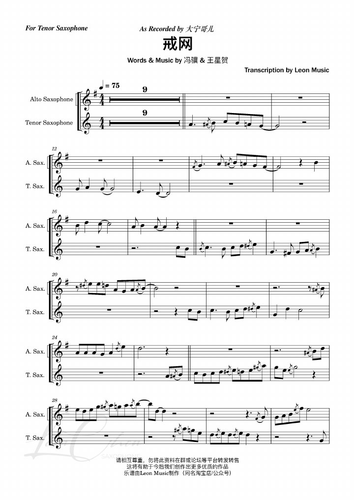 戒网 score preview